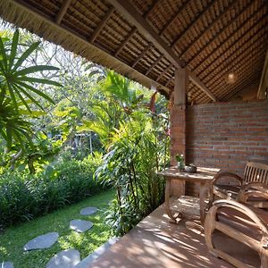 Suite Garden View